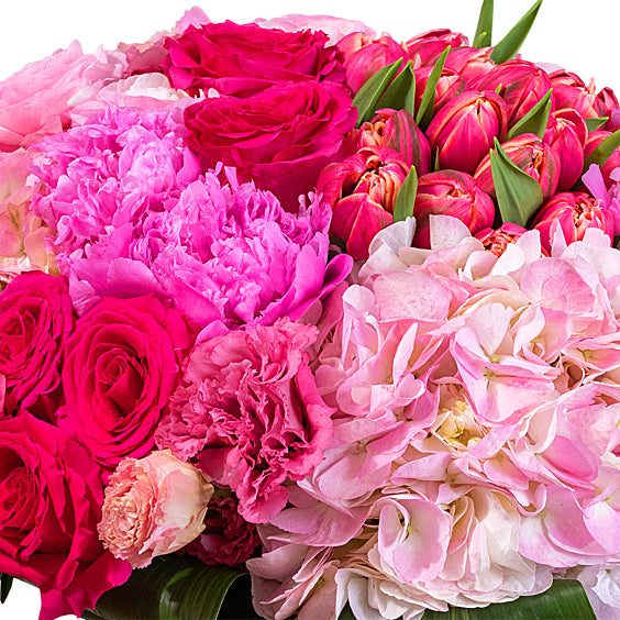 Designer's Choice: Hot Pinks & Blush