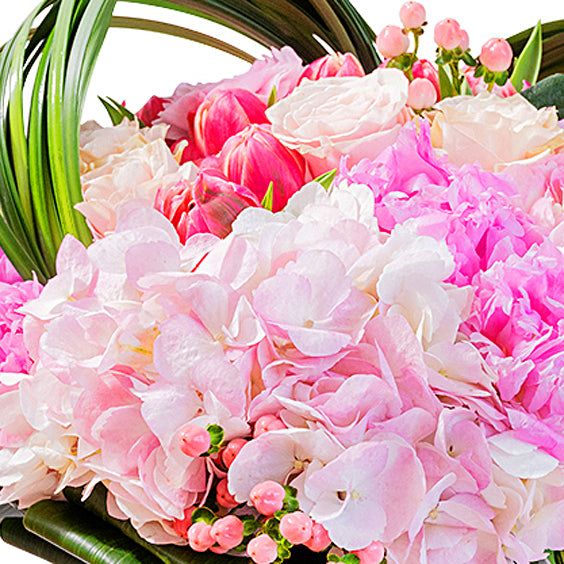 Designer's Choice: Array Of Pinks