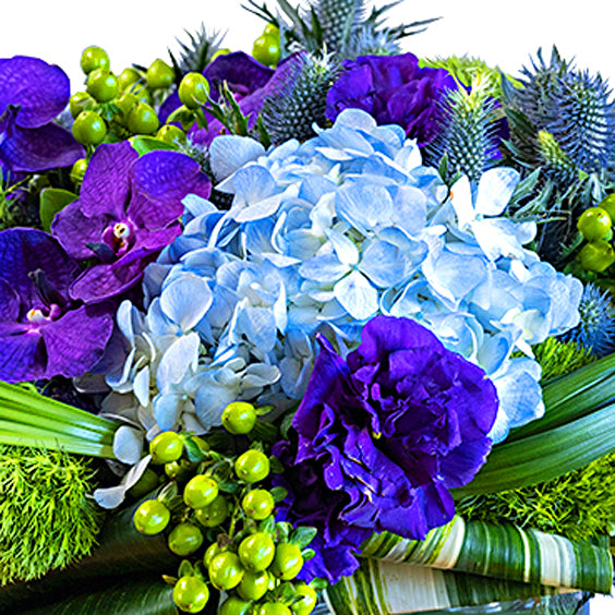 Designer's Choice: Mint and Ice