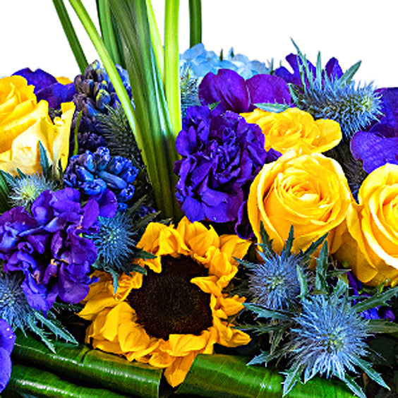 Designer's Choice: Sunny Waves